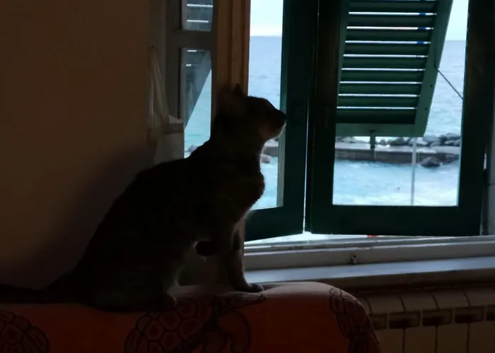 La Piccola Barca كامولّي