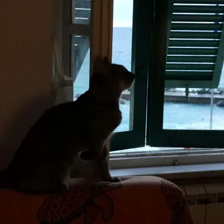 La Piccola Barca Камольи